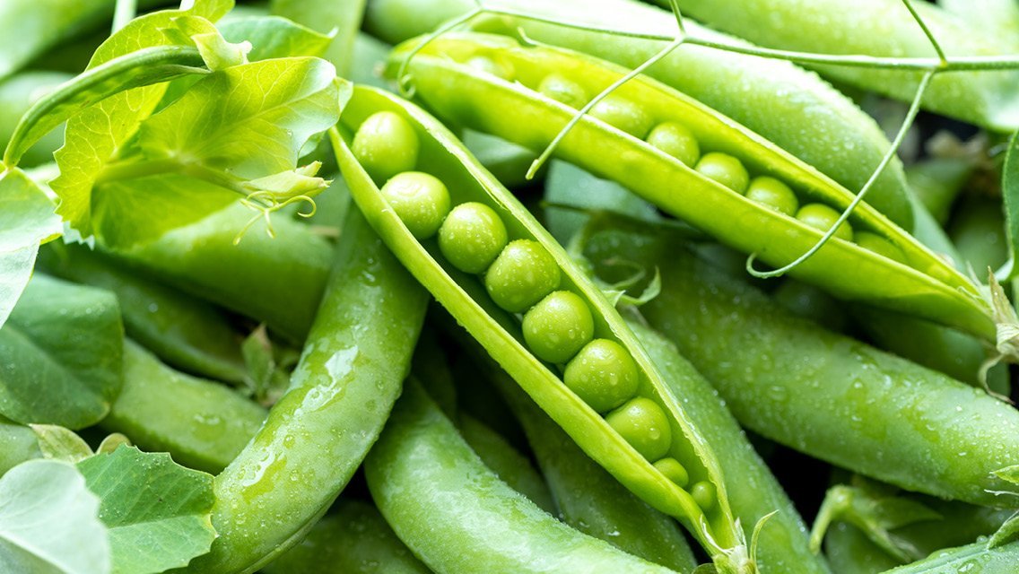 Preserving the bounty of your organic garden produce